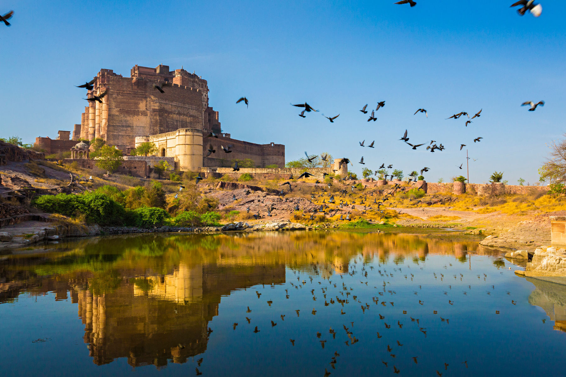 Jodhpur